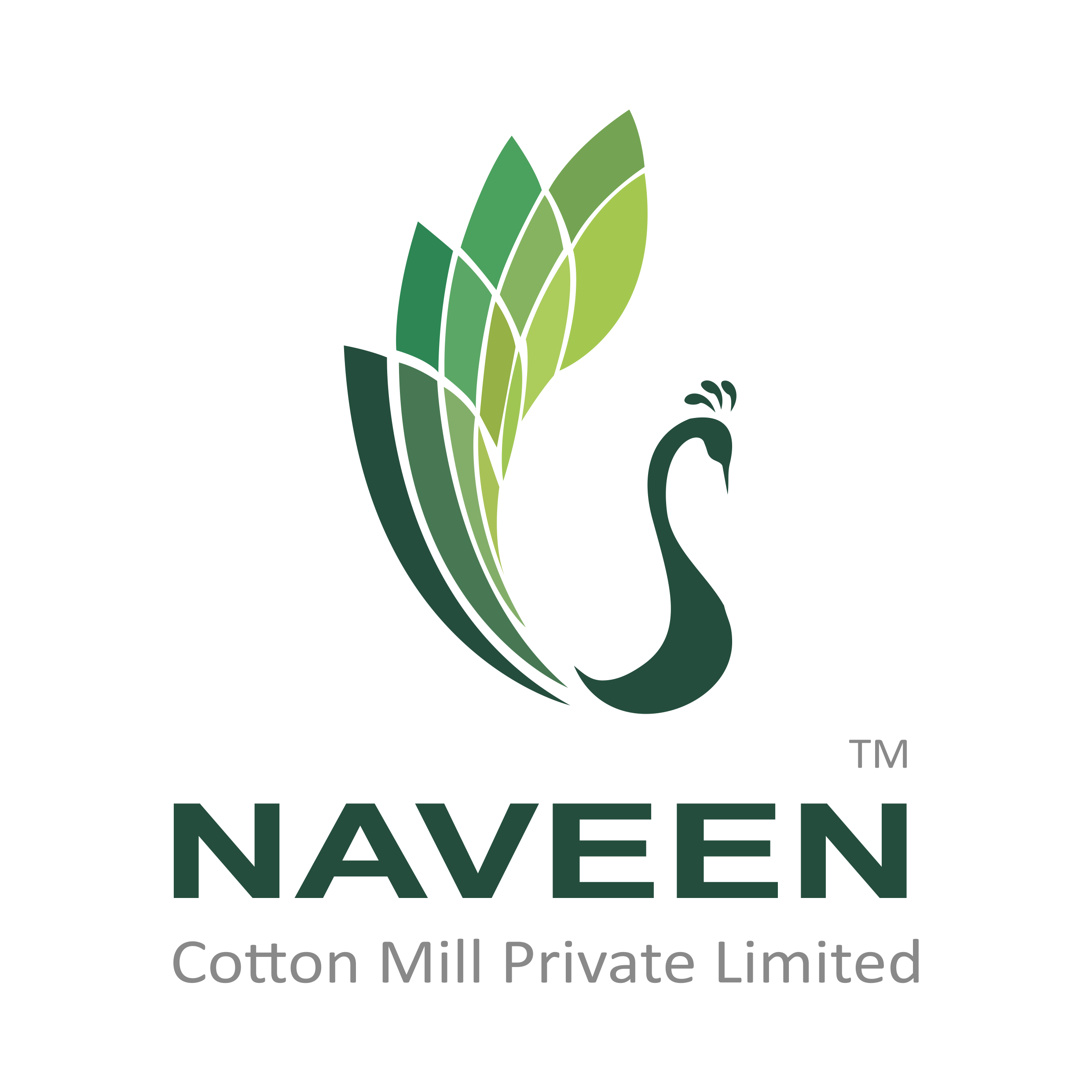 Naveen Cotton Mill Private Limited